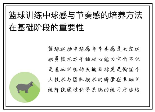 篮球训练中球感与节奏感的培养方法在基础阶段的重要性